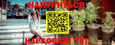 сатива Коммунар