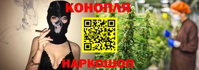 сатива Коммунар