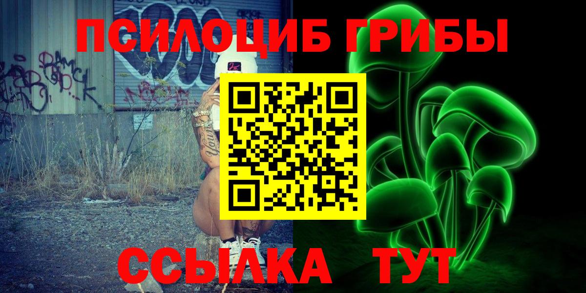 Галлюциногенные грибы Psilocybe  Вход с VPN  Балтийск  Галлюциногенные грибы Psilocybe 