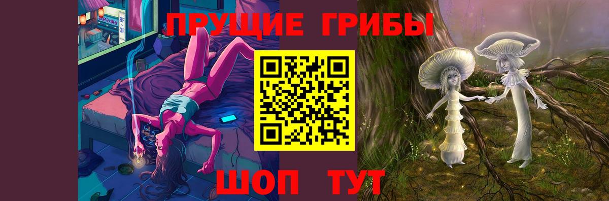 Псилоцибиновые грибы ЛСД Балтийск